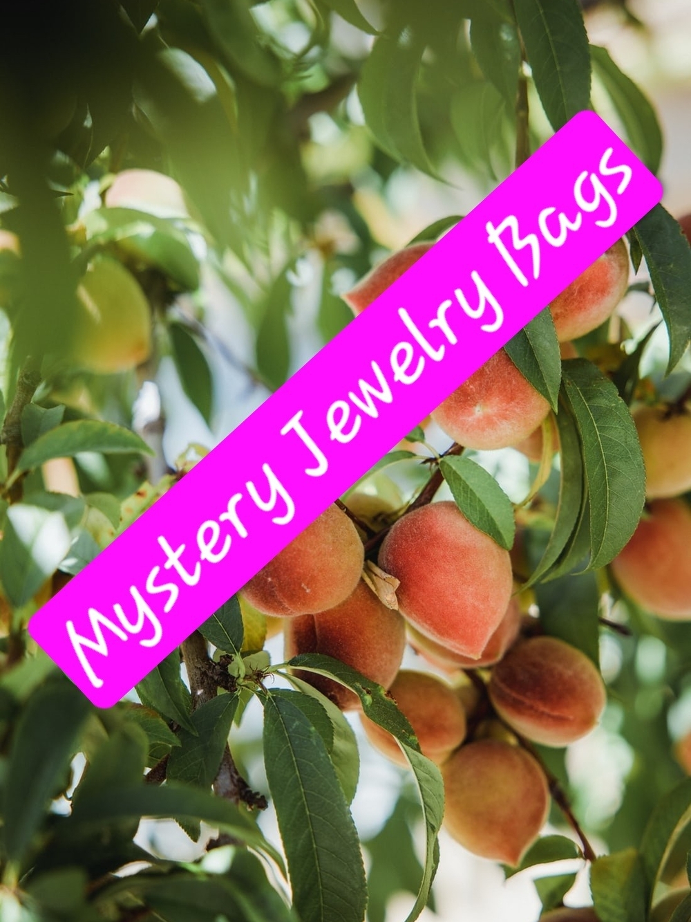 🍑Mystery Jewelry Bags